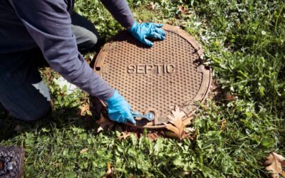 Oživite čistilno napravo z bioencimi – jesen je idealen čas