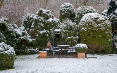 Januarski vodič: priprava vrta in zalivalnega sistema za uspešno sezono