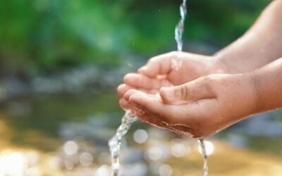 Mala komunalna čistilna naprava omogoča trajno in varno čiščenje odpadnih voda